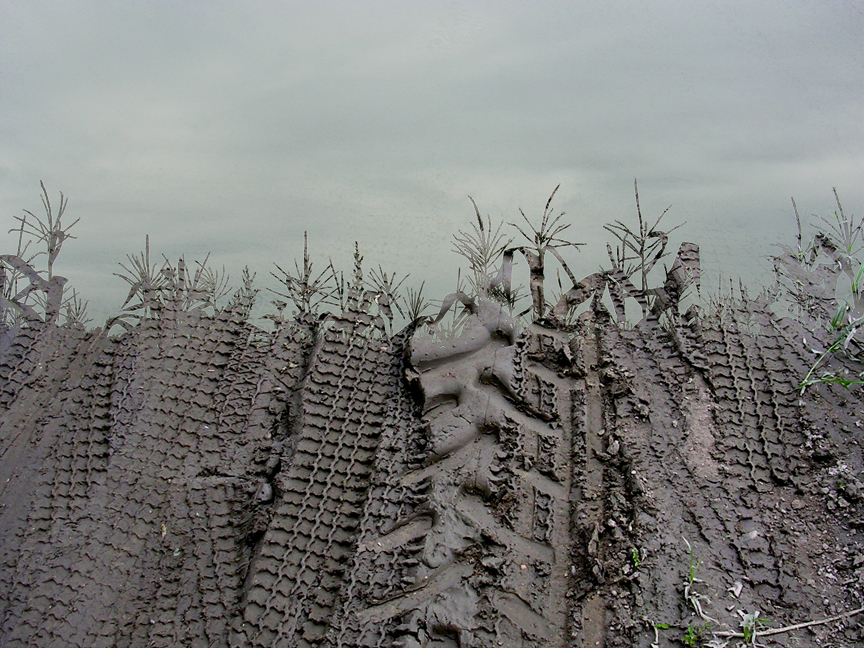 corntracks