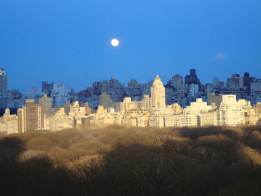skyline