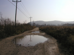 puddles
